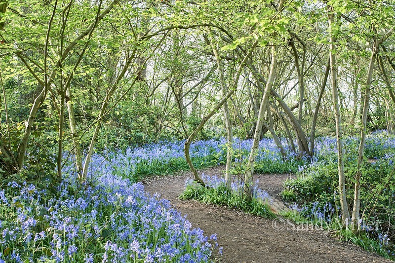 _DSC9100 1 - New work