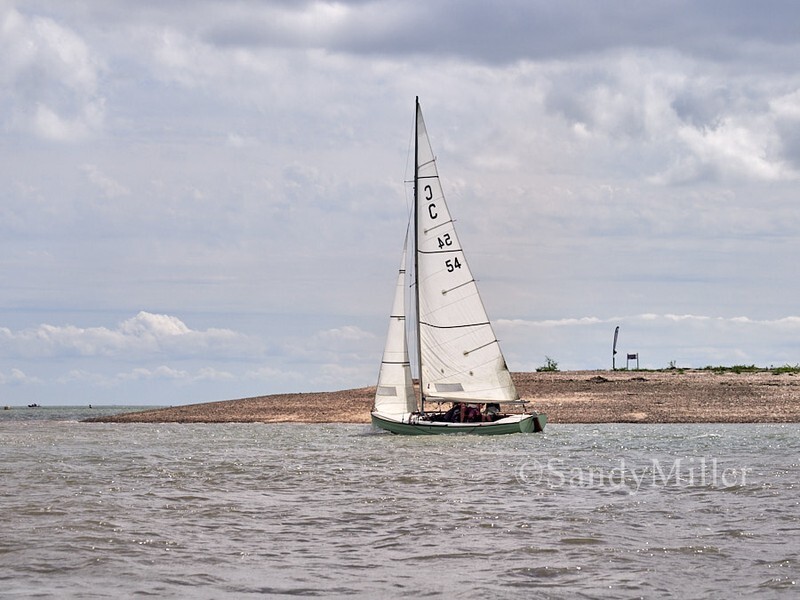 _1017318 - Rowhedge Regatta 2026