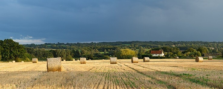  - Within a Few Miles