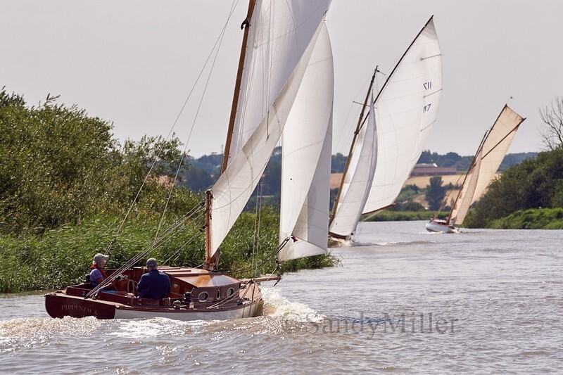 _DSC5744 - YSC Cantley Regatta 2018