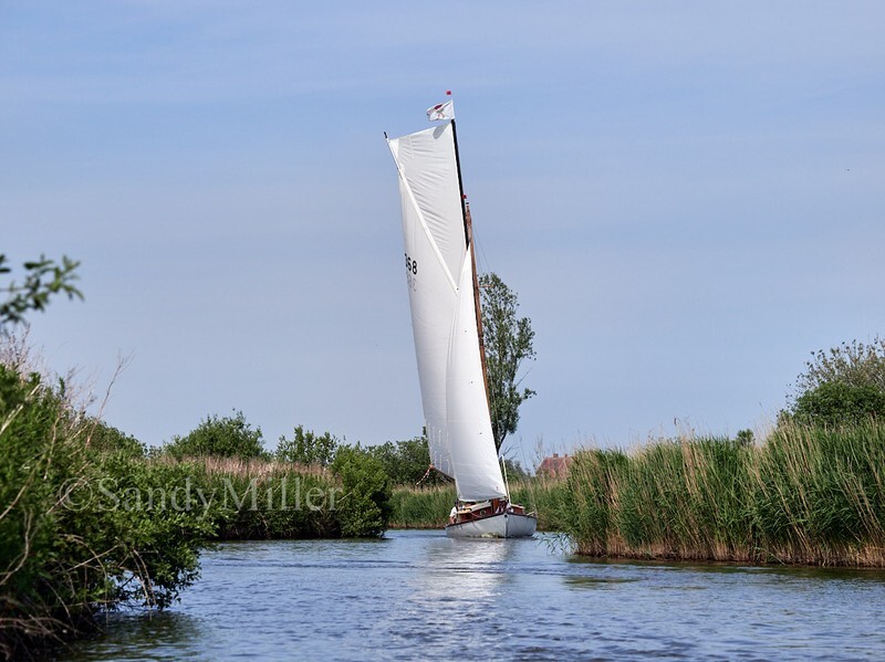 _1016309 - 3 Rivers Race 2026