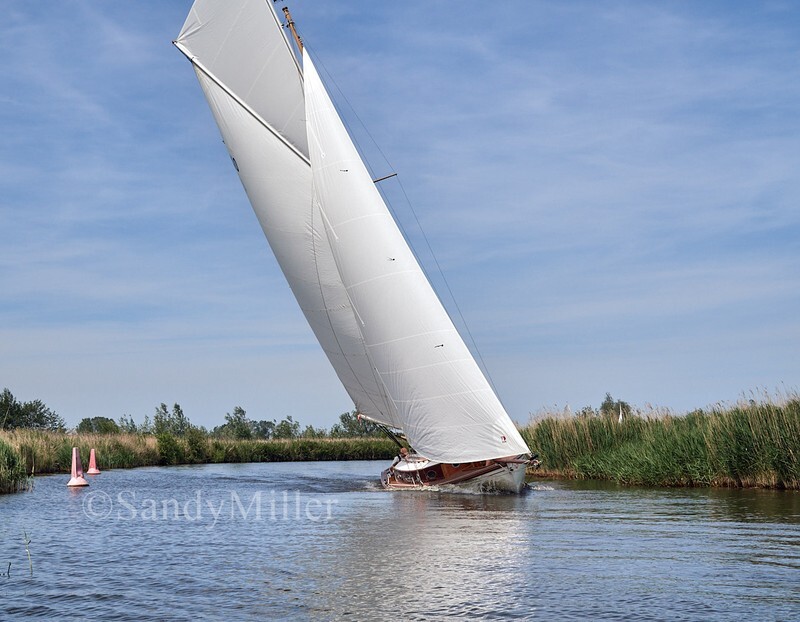 _1010079 - 3 Rivers Race 2026
