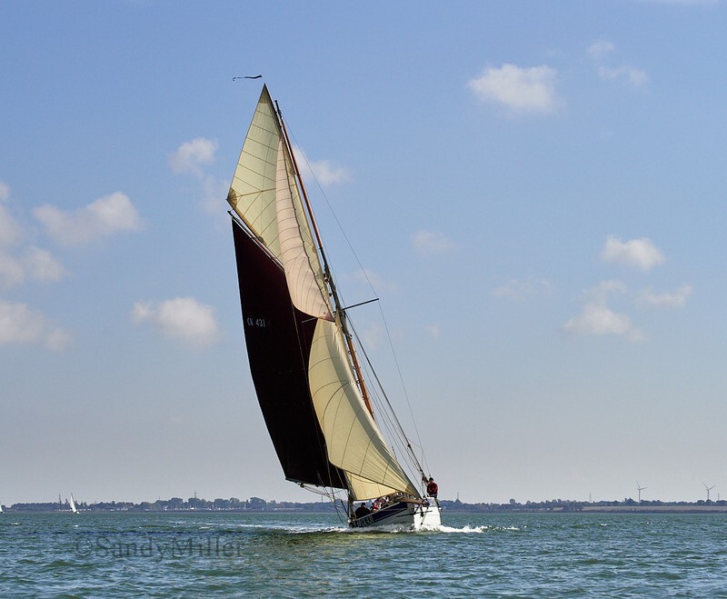 _1013941 - Maldon Regatta 2025