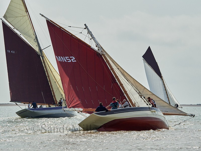 _1019859 - Rowhedge Regatta 2025