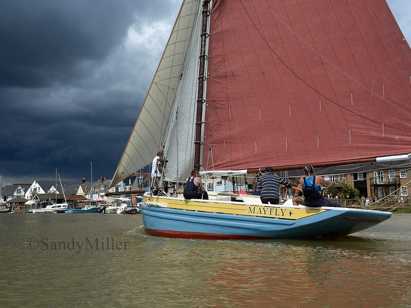 _6220094  - Wivenhoe Regatta 2024