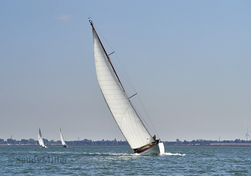 _1013956 - Maldon Regatta 2025
