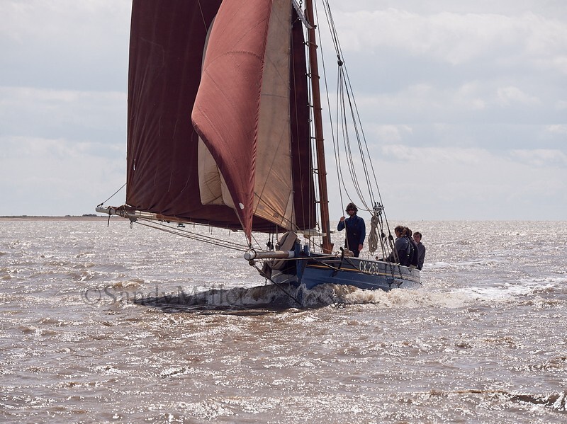 _1019877 - Wivenhoe Regatta 2022