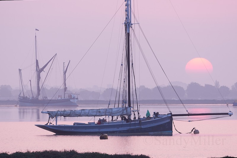 _DSC1989-ARW_DxO_DeepPRIMEXD - Estuary light