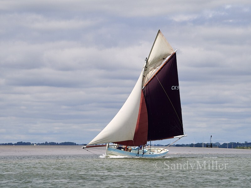 _1017242 - Rowhedge Regatta 2026
