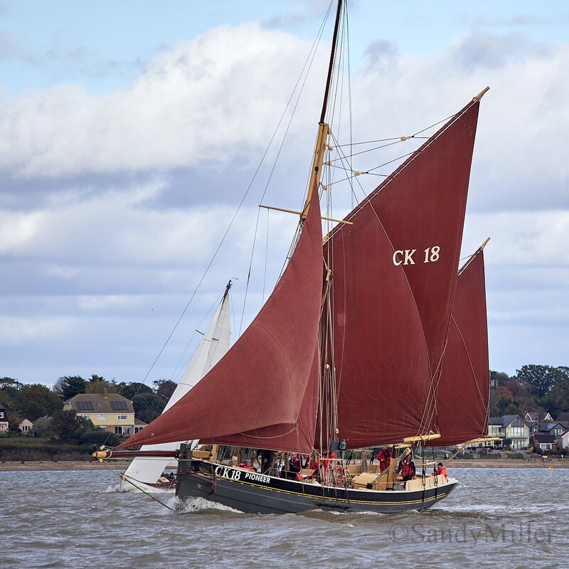 _1015114 - Turkey Race 2025