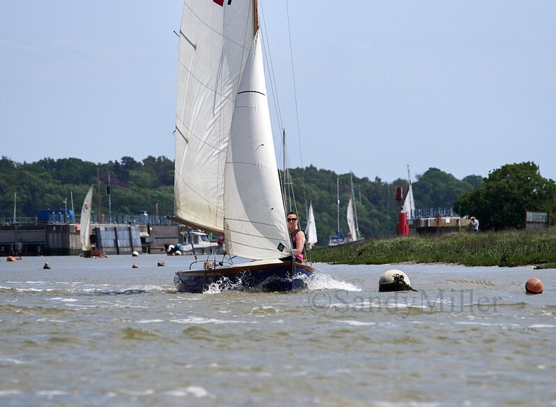 _1010057 - Rowhedge Regatta 2025