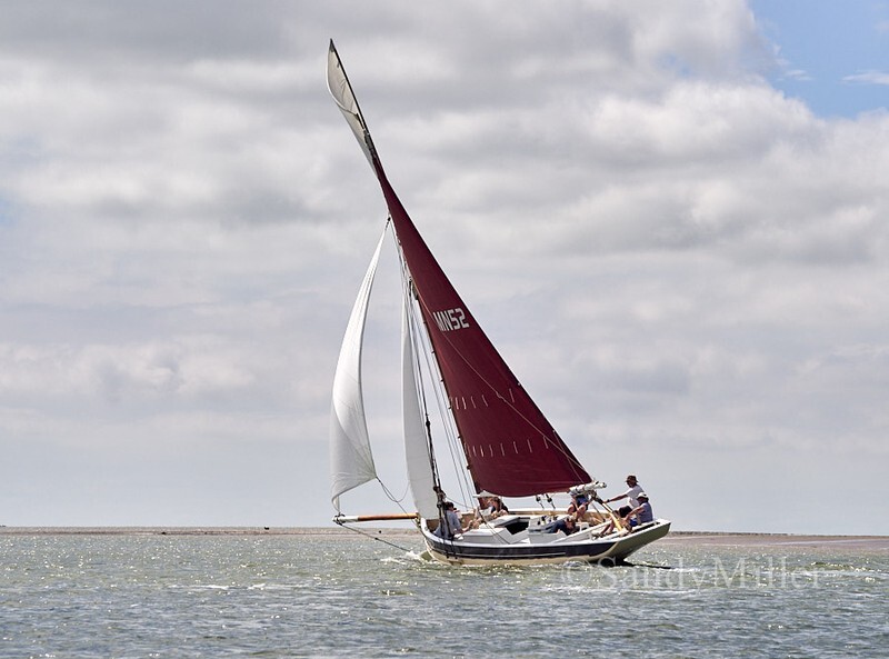 _1017181 - Rowhedge Regatta 2026