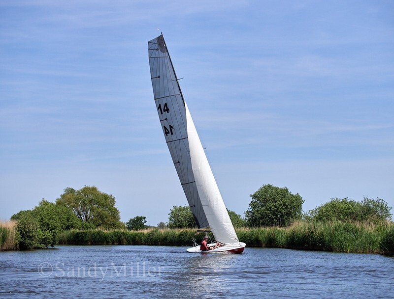 _1016264 - 3 Rivers Race 2026