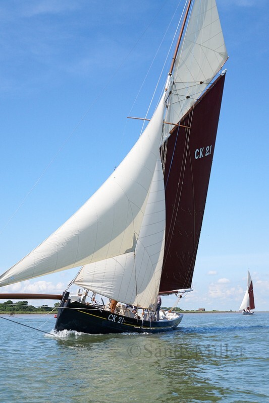 _DSC9578 - Rowhedge Regatta 2019