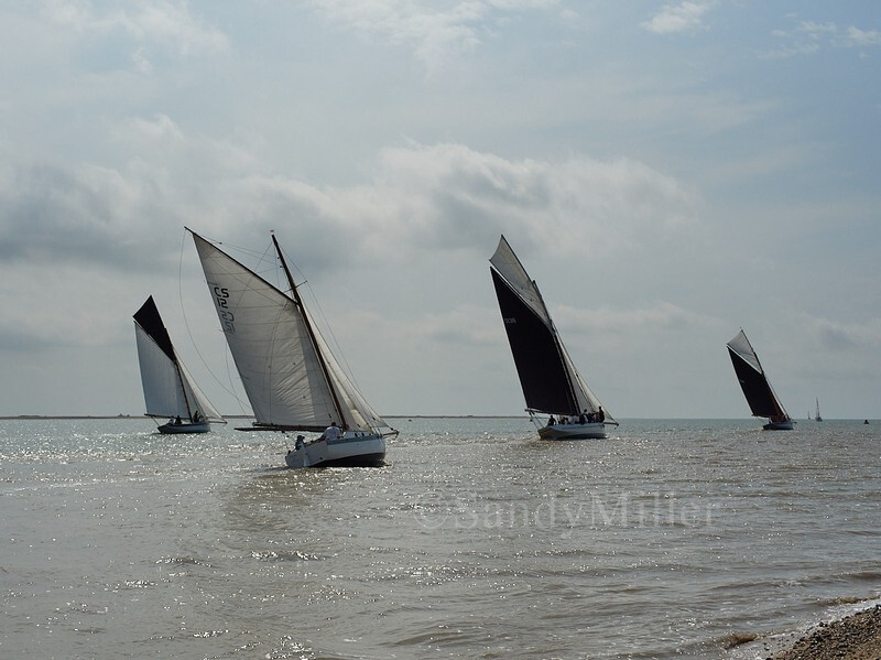 _1010055_1 - Rowhedge Regatta 2025
