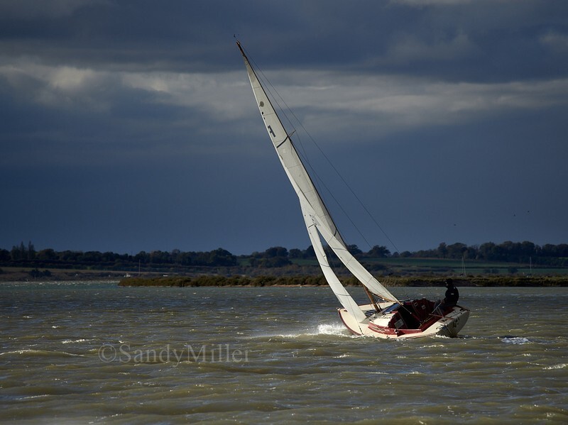 _1015382 - Turkey Race 2025