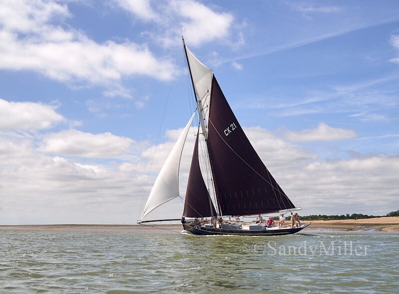 _1010033 - Rowhedge Regatta 2026