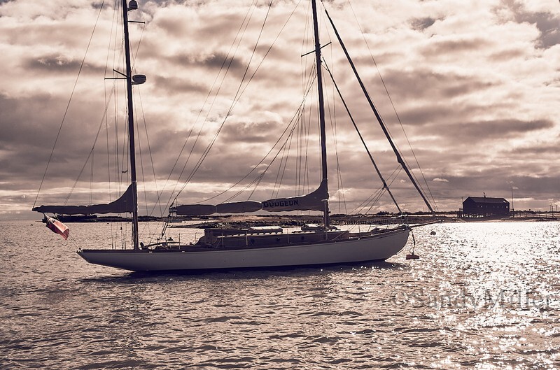 _1010021 - Turkey Race 2025