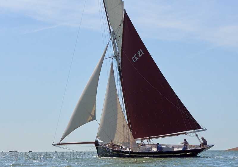 _DSC3707 - Rowhedge Regatta 2019