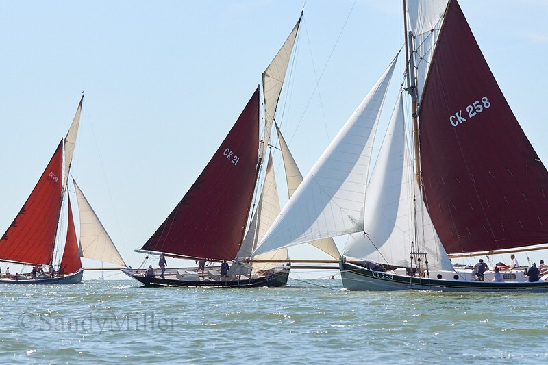 _DSC3718 - Rowhedge Regatta 2019