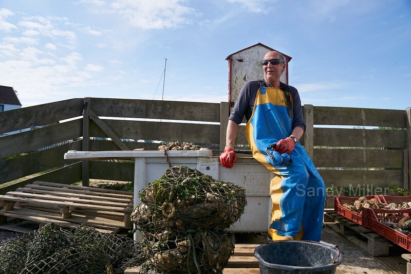 _DSC4340 - OGA Tollesbury Rally 2022