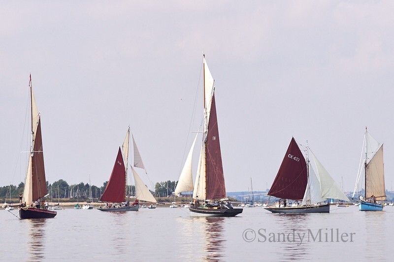 _DSC5876 - OGA East Coast Race 2018