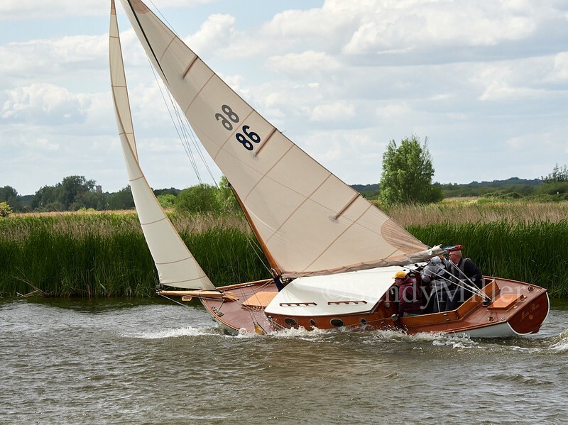 _1018651 - TMOR 2025