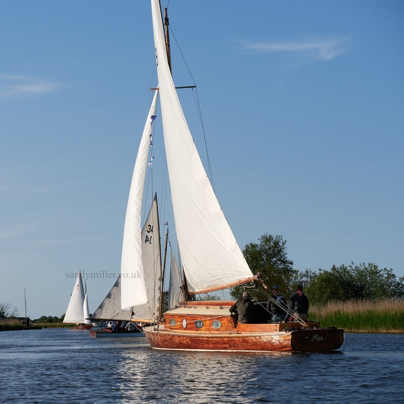 _1004053  - 3 Rivers Race 2021