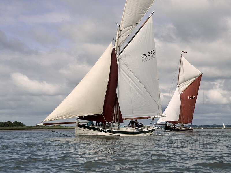 _6220029  - Wivenhoe Regatta 2024