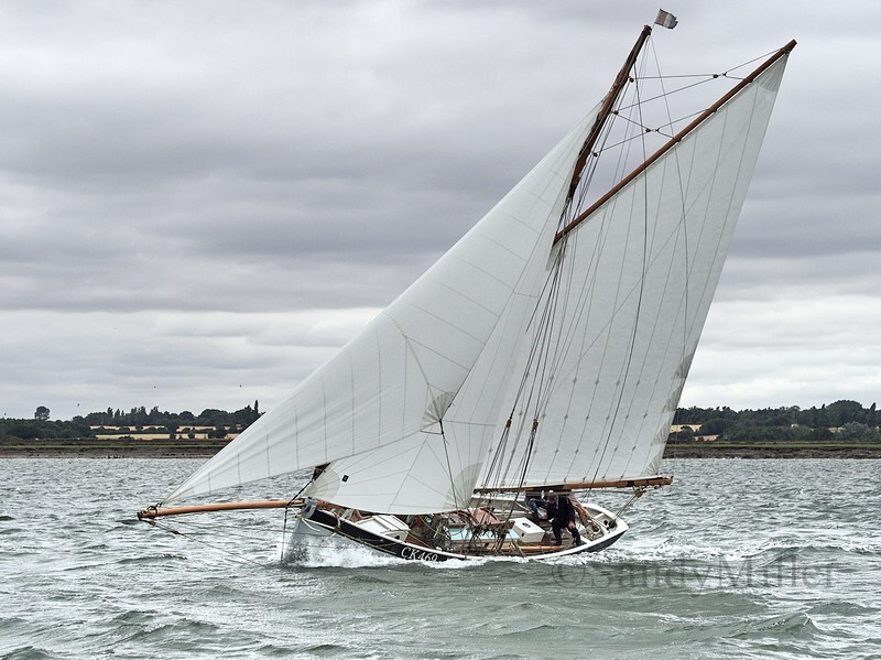 _1011083 - OGA East Coast Race 5 July 2025