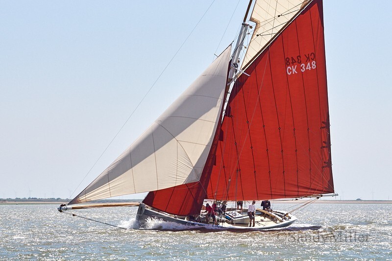 _DSC4461 - Rowhedge Regatta 2018