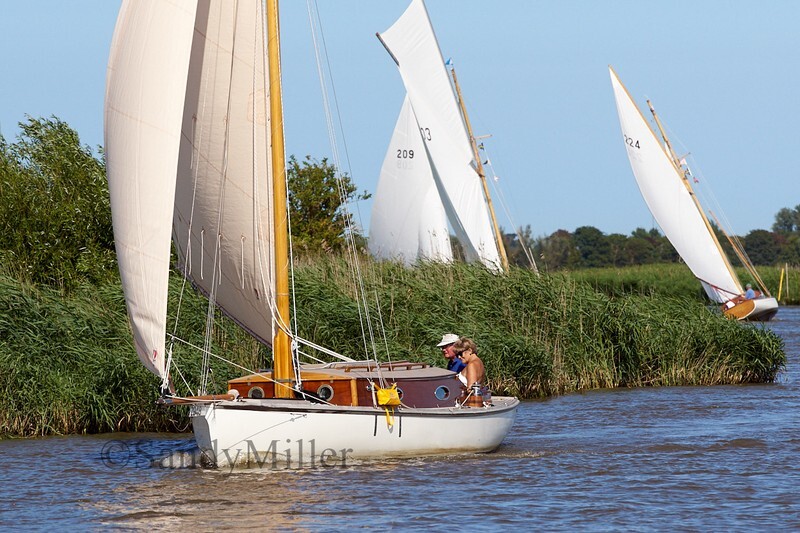 _DSC5403 - YSC Cantley Regatta 2018