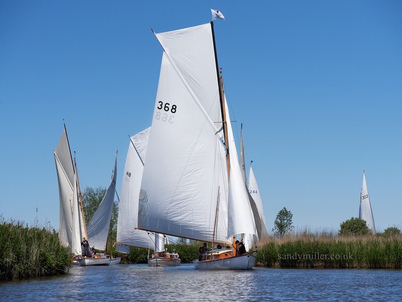 _1003982 - 3 Rivers Race 2021