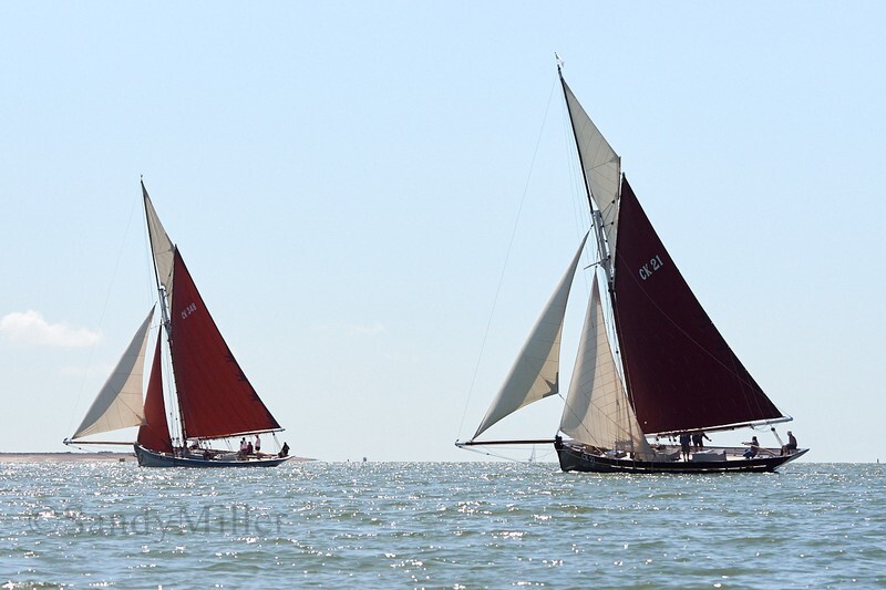 _DSC3721 - Rowhedge Regatta 2019