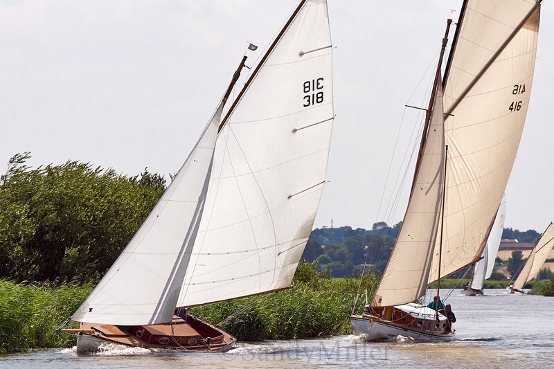 _DSC5734 - YSC Cantley Regatta 2018