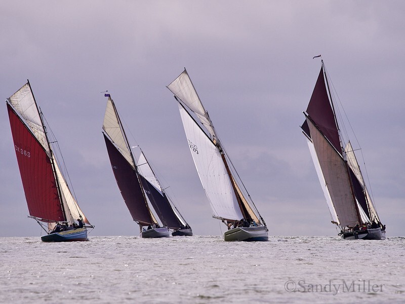 _6223809  - Wivenhoe Regatta 2024