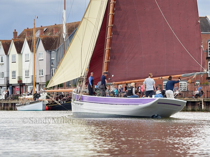 _6223901  - Wivenhoe Regatta 2024
