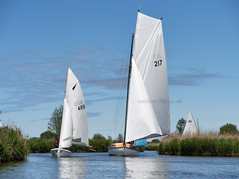 _1003965  - 3 Rivers Race 2021