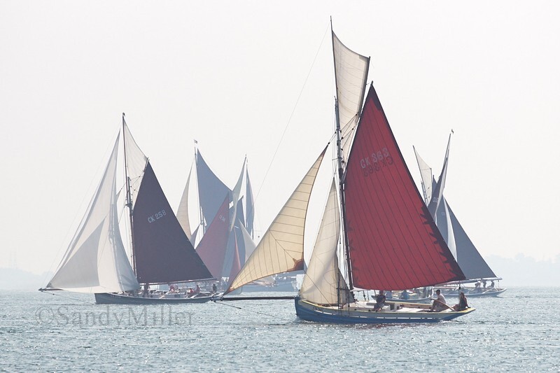 _DSC5019 - Blackwater Smack & Barge Match 2018