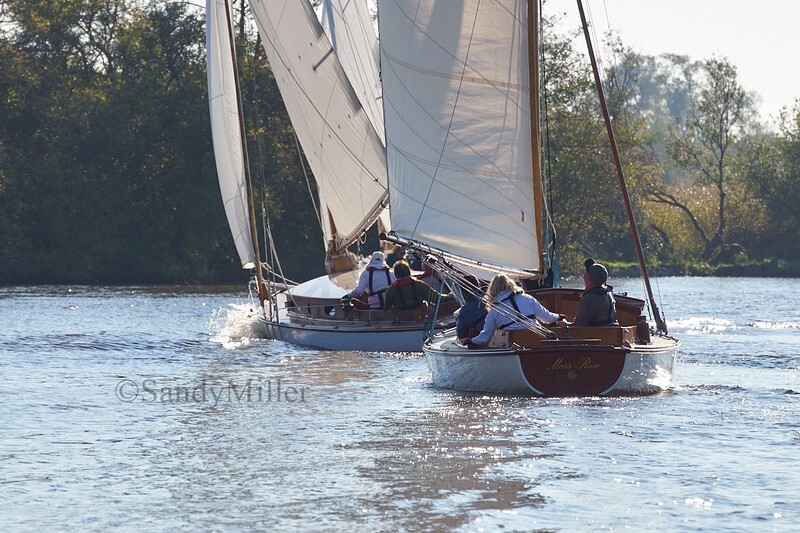 _DSC0616 - Tri-Icicle 2018