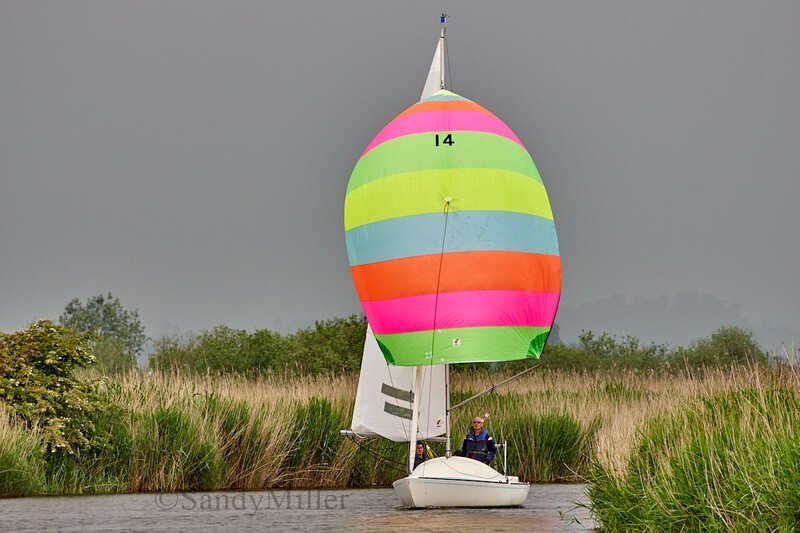 _DSC3077 - 3 Rivers Race 2018