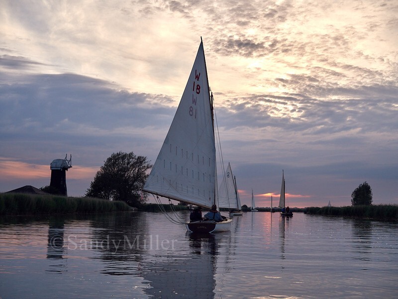 _1010219 - 3 Rivers Race 2026