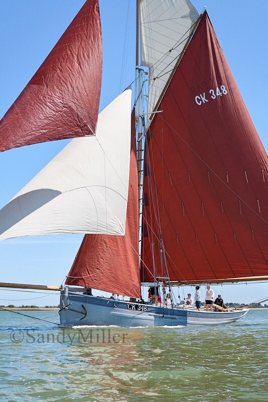 _DSC9614 - Rowhedge Regatta 2019