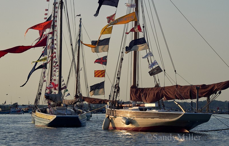 _1015999 - Essex Heritage Workboats at Mersea