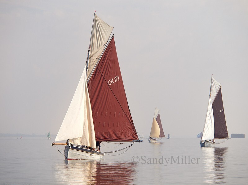 _9167532 - Maldon Regatta 2023