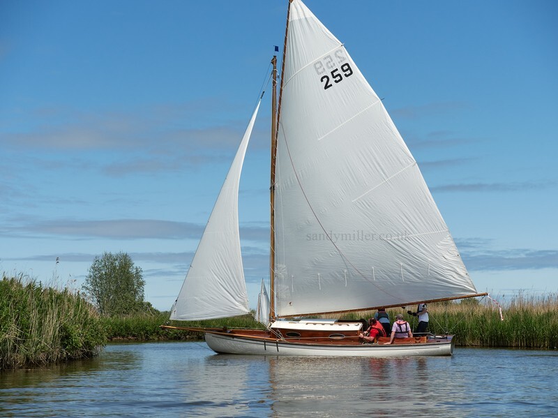 _1003947  - 3 Rivers Race 2021