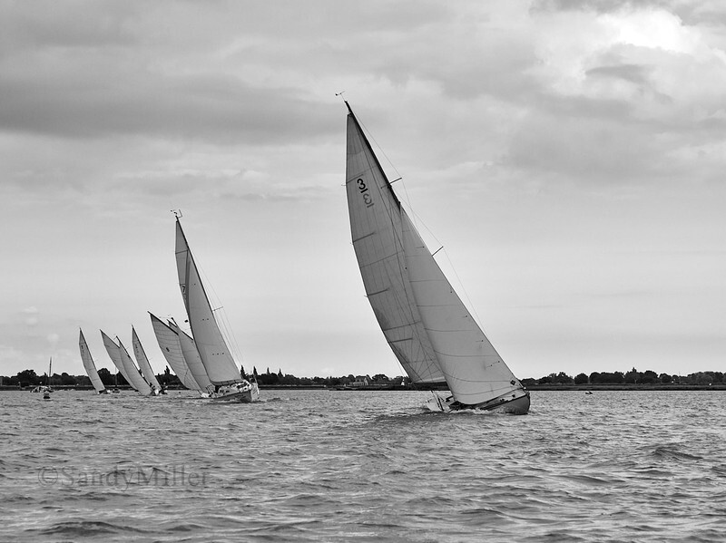 _1014188 - Maldon Regatta 2025