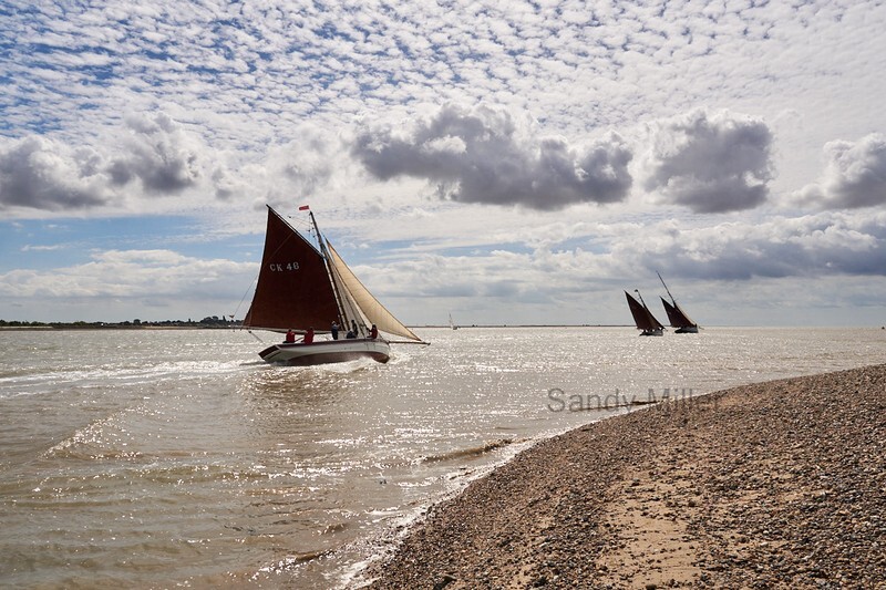 _DSC5245  - Wivenhoe Regatta 2022