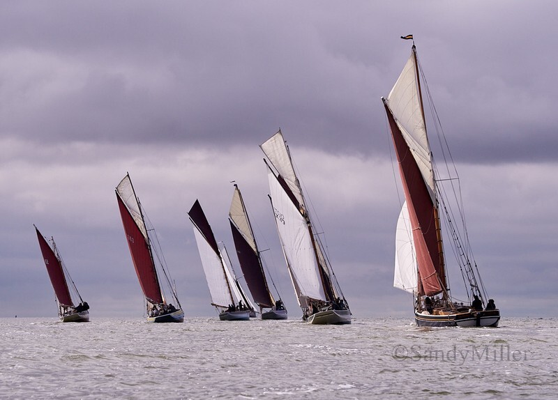 _6223792  - Wivenhoe Regatta 2024