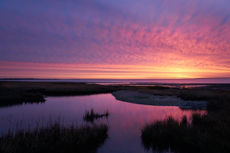 _DSC2757 - Estuary light